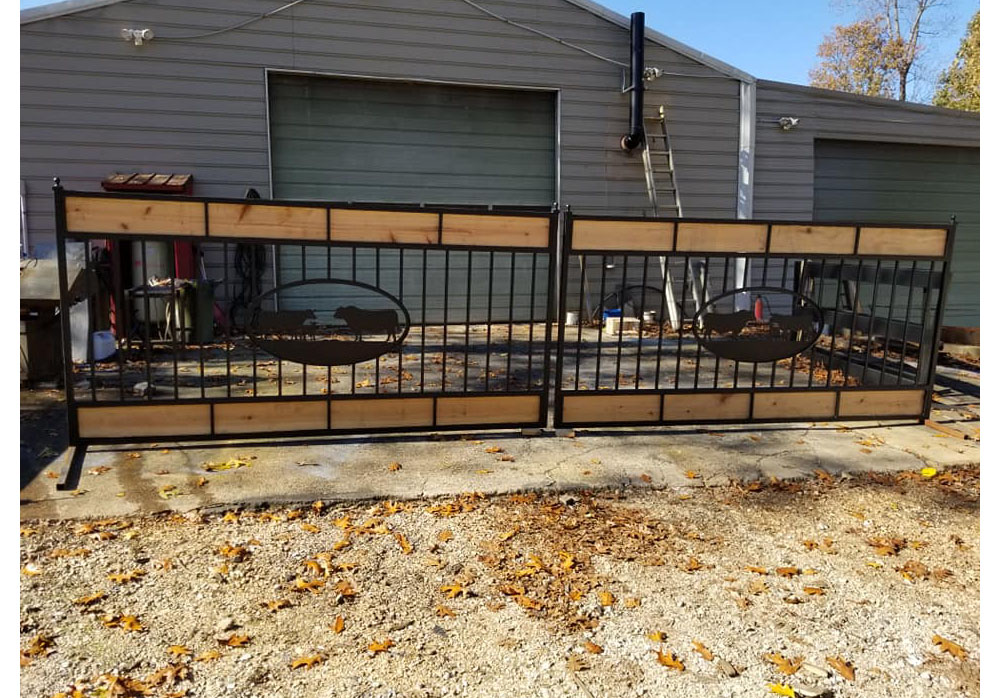 Picture of Adam's Gate #1