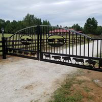 Picture of Bo Gate