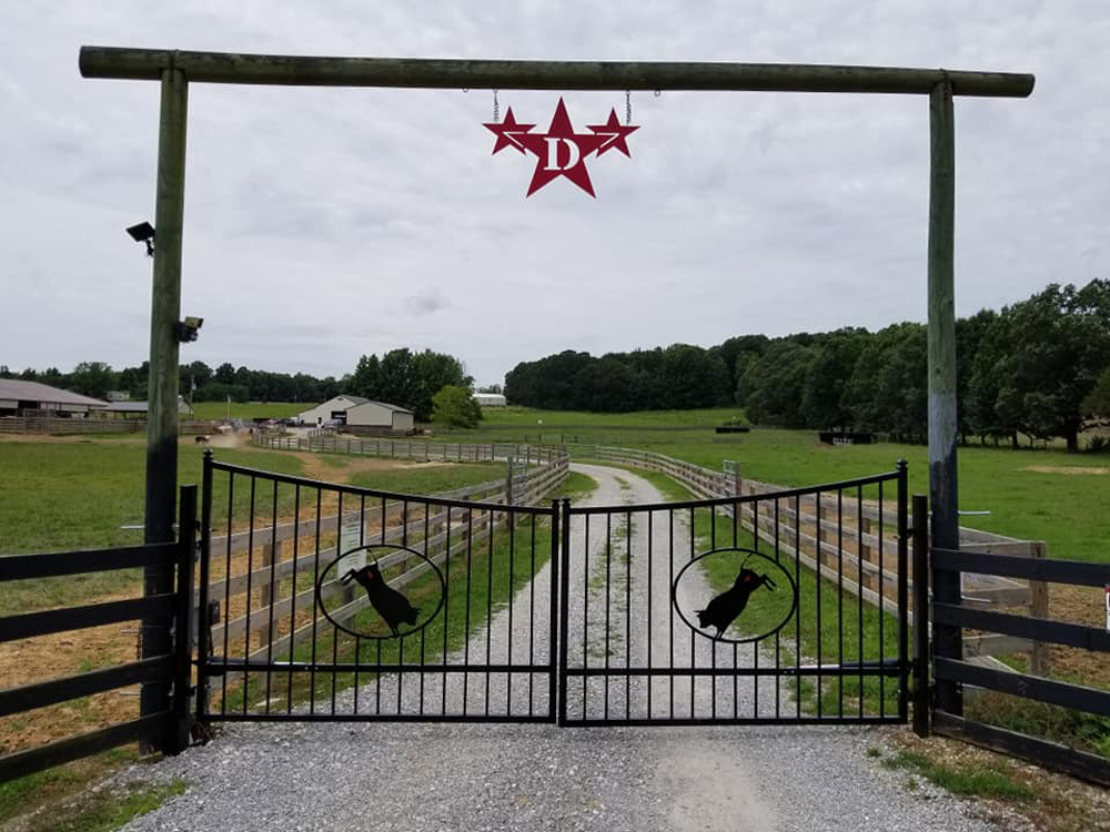 Picture of Bull Gate