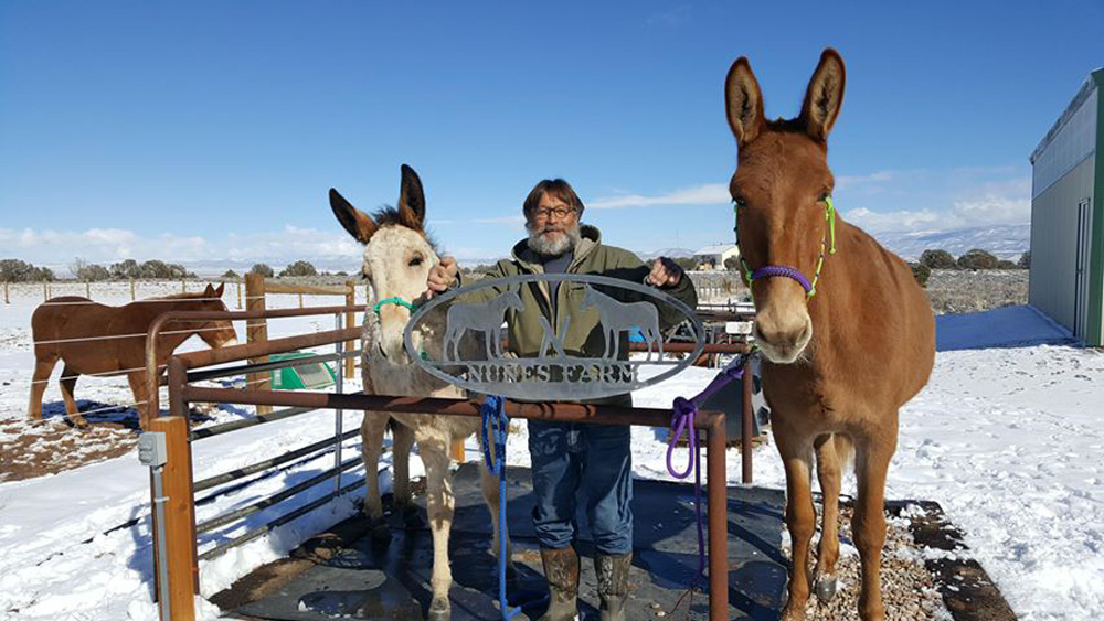 Picture of Mule Sign